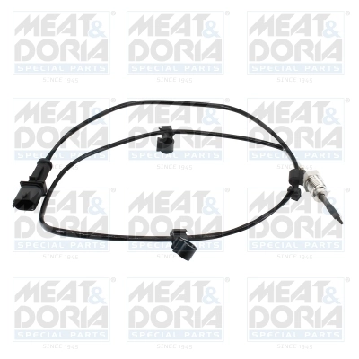 Sensor, exhaust gas temperature